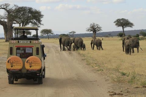 8 Days 7 Nights Private Lodge Safari