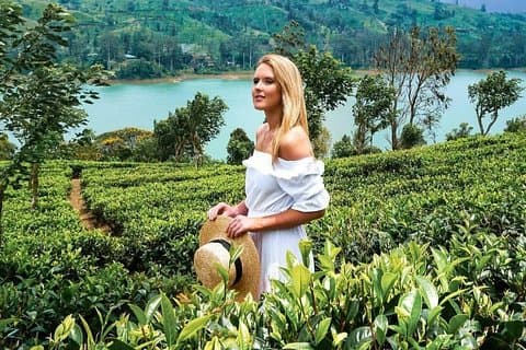 Kandy to Nuwara Eliya Day Tour