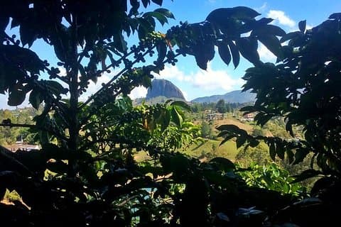 Hotell nära Guatape & Coffee Farm & El Peñol Rock & Pittoreska stan