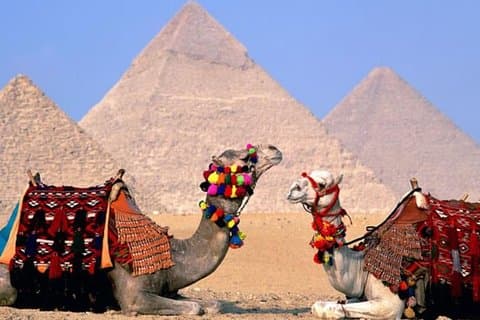 Private Tour: 8 Days 7 Nights Great Pyramids & Nile Cruise by Train from Cairo