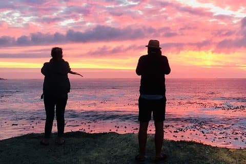 Cape Town Peninsula Day Tour ( Cape Point/Penguins/Wine Tasting)