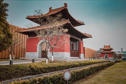 Tagesausflug von Shanghai nach Nanjing: Erkunden Sie das Sun-Yatsen-Grab, die alte Stadtmauer usw.