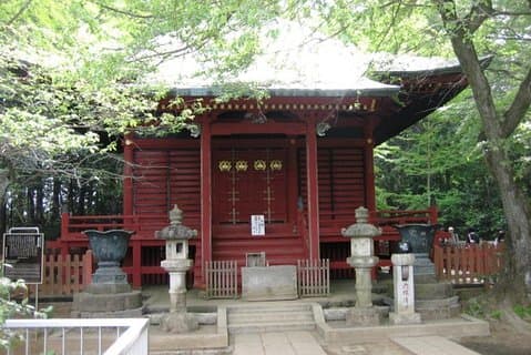 Nature tour at Mt. Takao