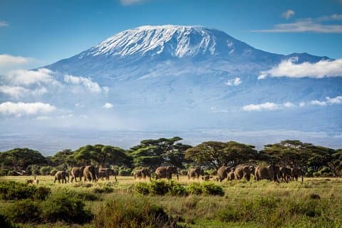 7 jours de route du mont Kilimandjaro Rongai