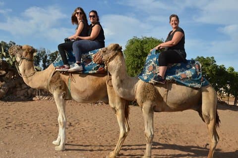 Kamelridning i Agadir för kryssningsfartygspassagerare
