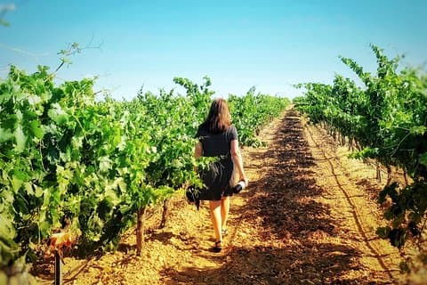 Scopri l'autentica cultura del vino di Rueda