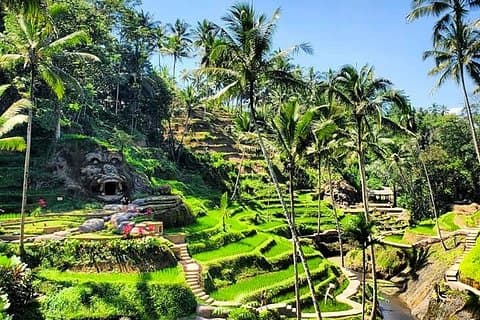 Din lokala partner för oförglömlig bali Experience