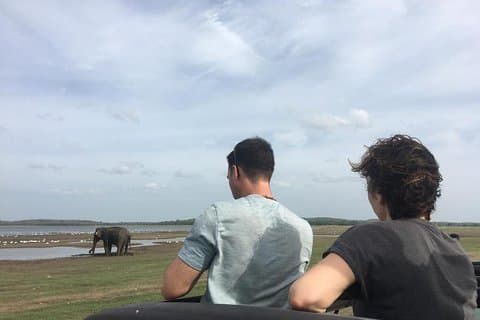 Private Jeep Safari at Minneriya National Park