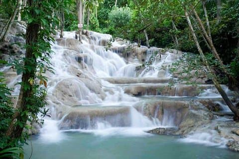 Dunns River Falls e Park Private [Servizio di trasporto]