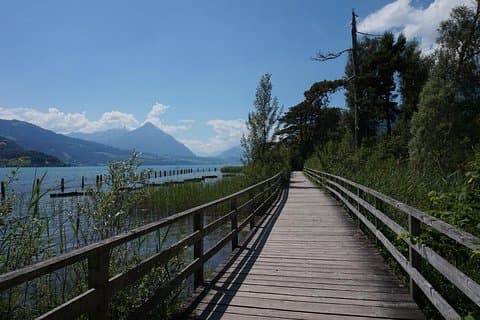 Interlaken : Paseo panorámico por la naturaleza, la cultura y el patrimonio