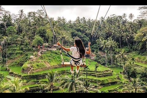 Bali: Swing und Ubud Tour