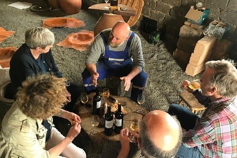Private Organic Wine Tour from Kutaisi, 2 Tastings and Lunch