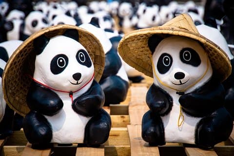 Private Tagestour: Dujiangyan Panda Base und Bewässerungsprojekt