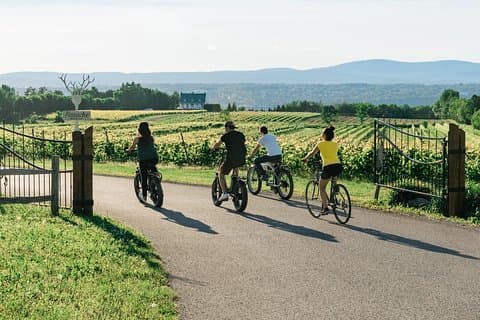 Quebec City - Regular Bike Rental on Ile d'Orléans