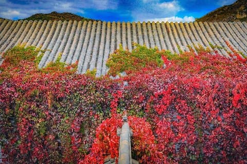 Tour fotografico stagionale delle foglie rosse della Grande Muraglia di Simatai e della città di Gubei
