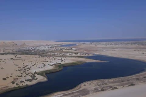 viaje de un día de safari al oasis de fayum del valle de las ballenas