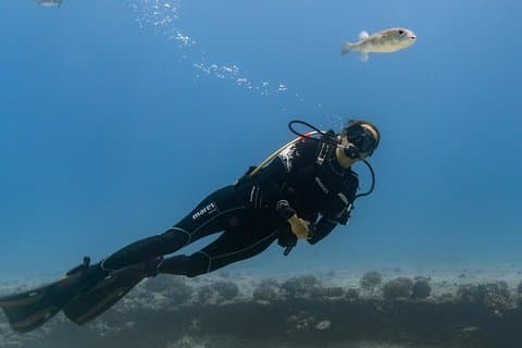 Incredibly Fun Coral Reef Giant Sea Turtles Tour de mergulho em barco de 4 horas
