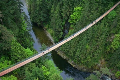 Etter cruise: Vancouver-tur med utkikk og Capilano Bridge