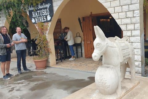 Peljesac privat vintur fra Dubrovnik