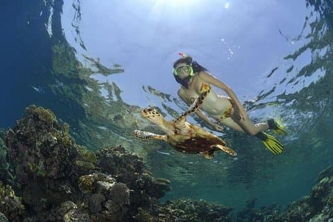 Dahab Safari & Schnorcheln im Blue Hole