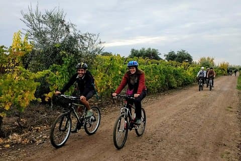 Den perfekte dag med at opdage vinmarker, vin og regional gastronomi på cykel