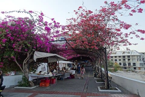 City tours no Panamá