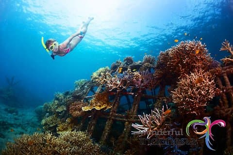 Ha kul 1 dag i Nusa Penida: snorkling, kelingking & trasig strand inkl lunch