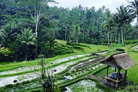 Det beste av Bali private tilpassede turer