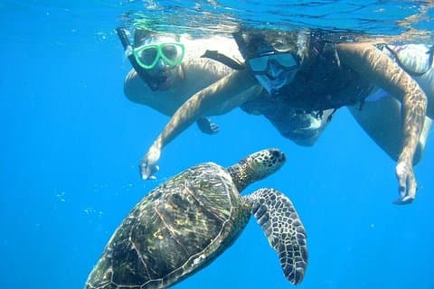 Snorkeling Trip At Port Ghalib Marina from Marsa Alam