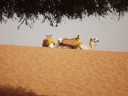 Massa 4x4 & små sanddyner med lunchdagstur från Agadir
