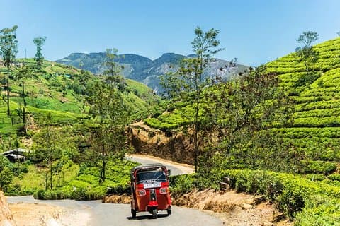 Rejser til Kandy City