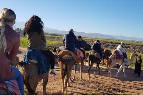 Desert Agafay kamel rida atlas berg vandring all-inclusive