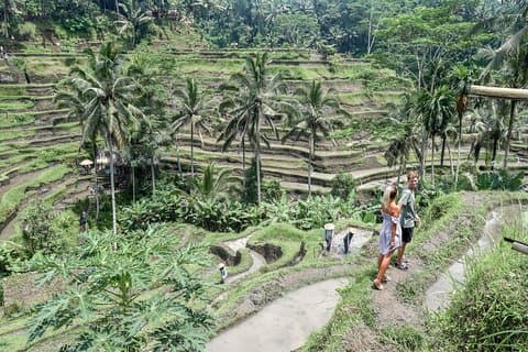 Alt BEST NATUR, kultur og kulturarv: Privat tur i UBUD