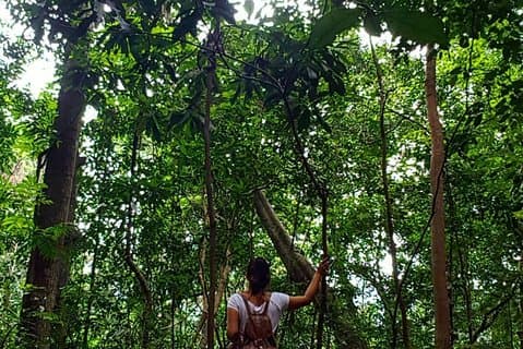 Private Vogelbeobachtung und Naturwanderung im Udawatta Kele Sanctuary