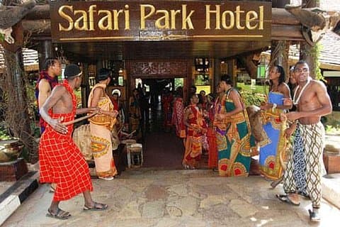 Cena de Nairobi y bailarines de gato safari
