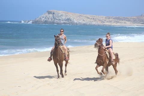 Cabo White Sand Ridetur og Tequila-smaking