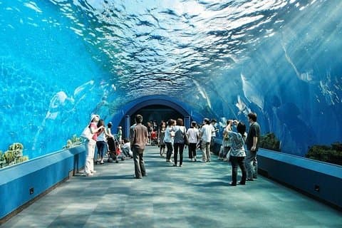Underwater World at Pattaya Billet d'entrée avec transfert aller-retour