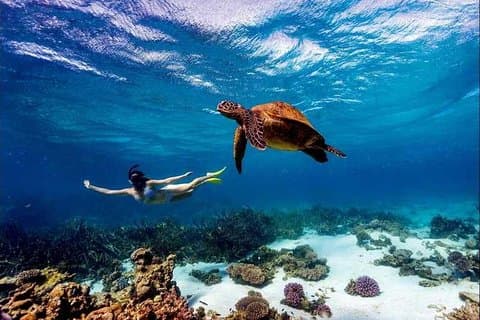 4-daags Diani Beach-vakantiepakket met SGR-trein (minimaal 2 personen)