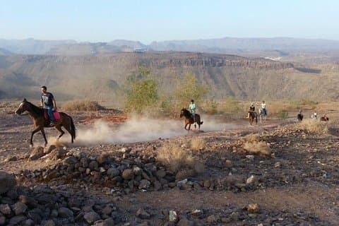 La migliore esperienza di equitazione a Gran Canaria (1 ora)
