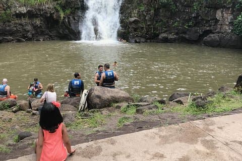 North Shore / Waimea, Falls Day & Schwimmen mit Schildkröten