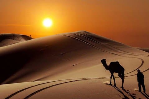 3 dias / 2 noites, excursão ao deserto de Fes a Fes