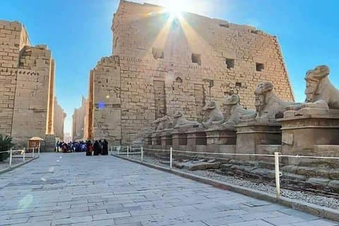 Shore Excursion: Day tour to Luxor from Safaga port