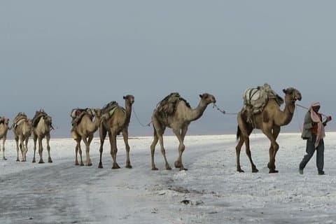 15 dager Afar Danakil depresjon