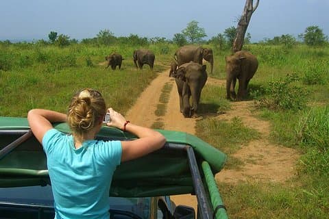 Excursión de un día a Udawalawe desde Colombo