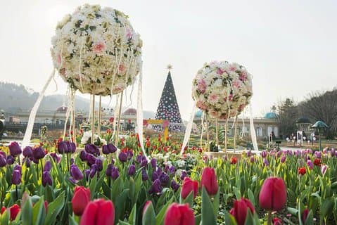 Everland Resort (the world’s 7th-largest theme park)