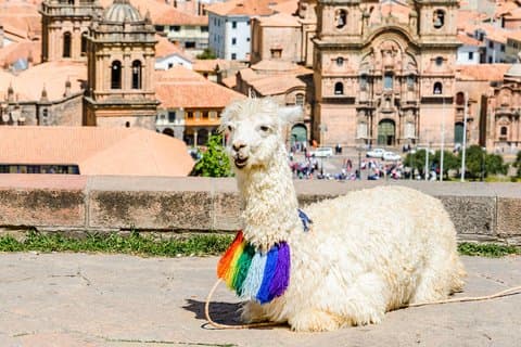Demi-journée - Cusco City Essentials (Excursion de groupe l'après-midi)