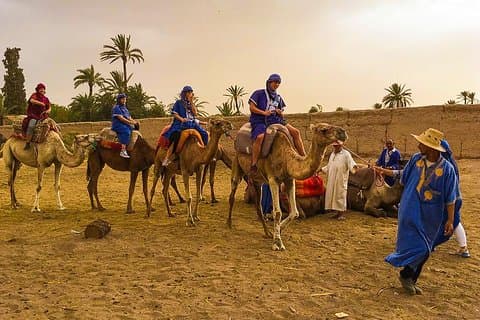 Balade à dos de chameau à Marrakech
