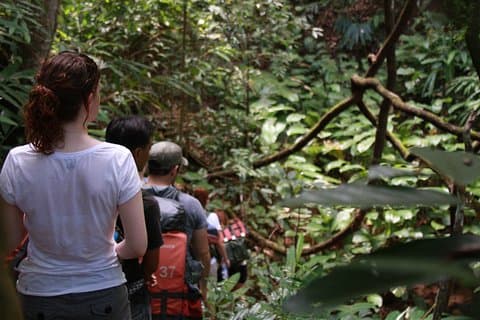 3 Day 2 Nights Jungle in Huay Nam Dung National Park