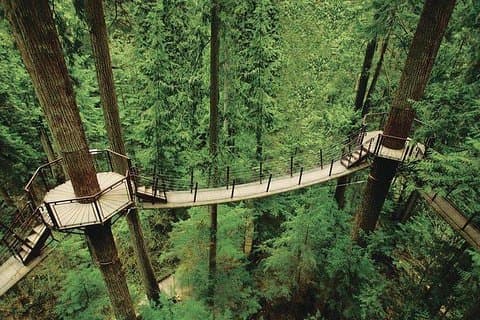 Il meglio delle attrazioni di Vancouver / Ponte sospeso / Tour della pizza gratuito privato