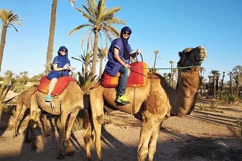 Övernattning Lyx Desert Trip Form Fez till Fez